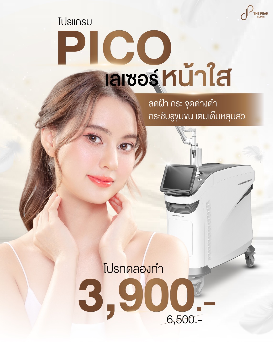 โปรแกรม PICOLASER